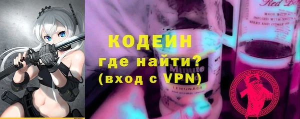 индика Абаза