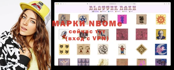 индика Абаза
