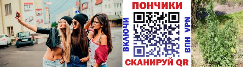 Марихуана SATIVA & INDICA магазин продажи наркотиков Покров